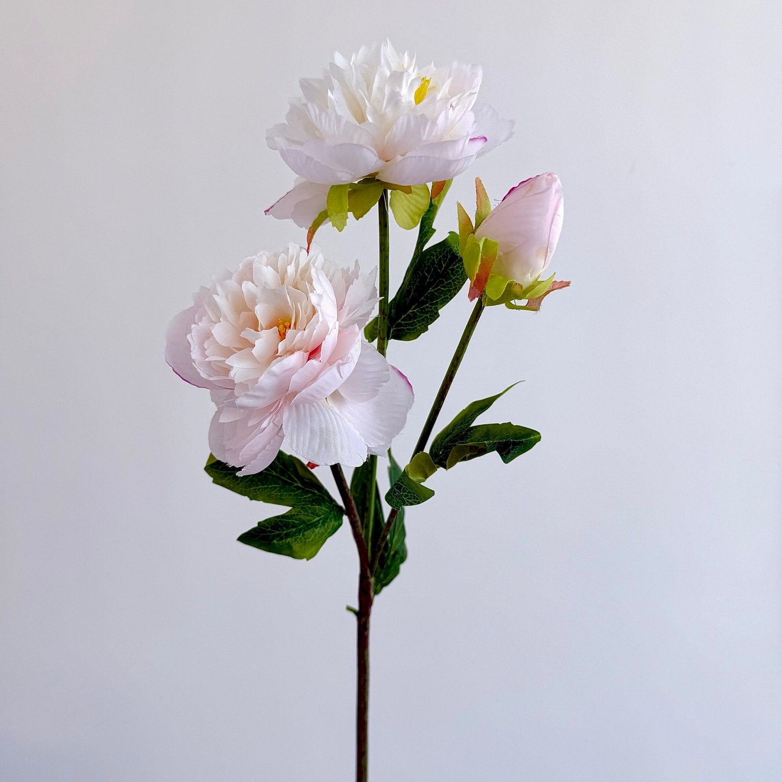 Silk Peony Light Pink