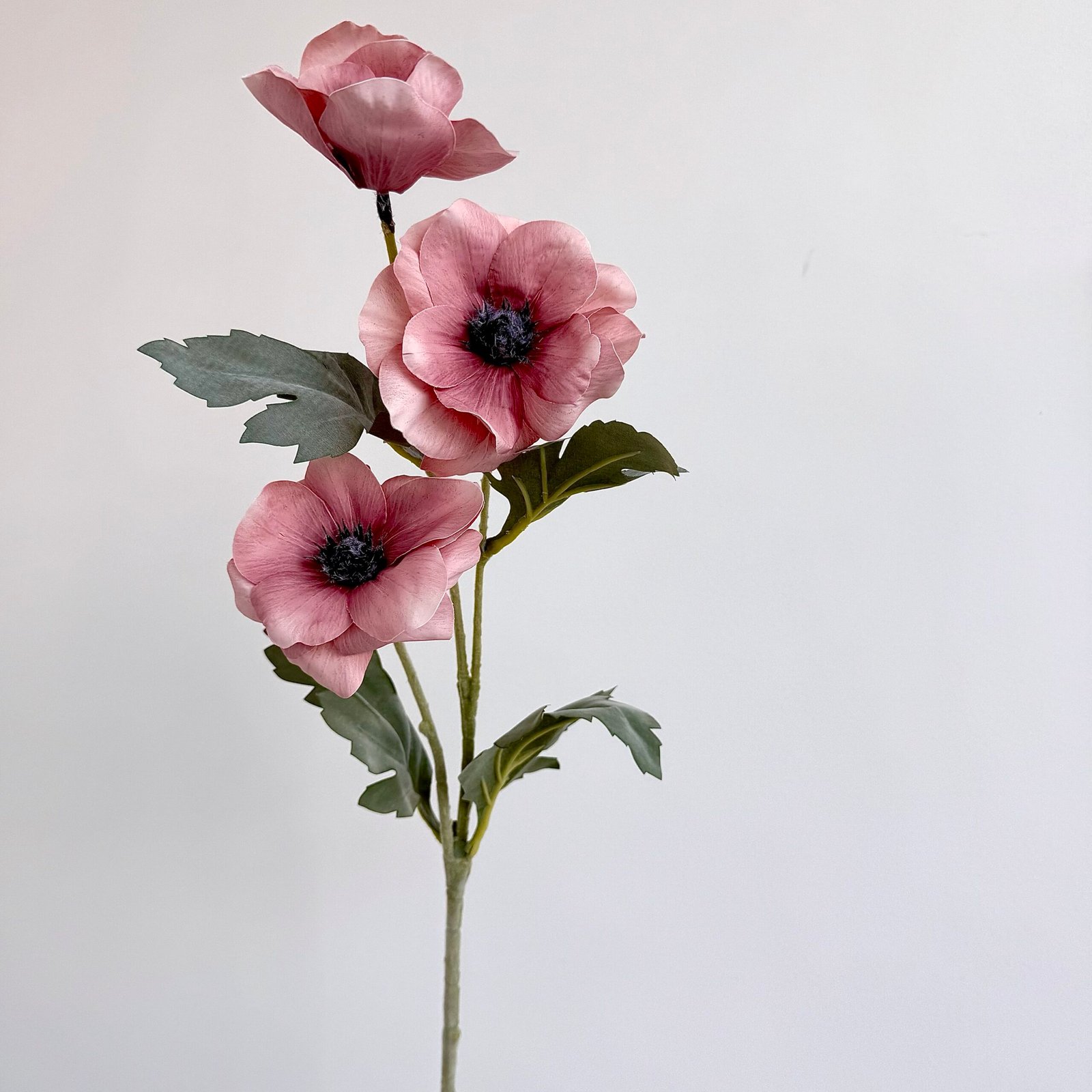 Poppy Flower Dark Pink